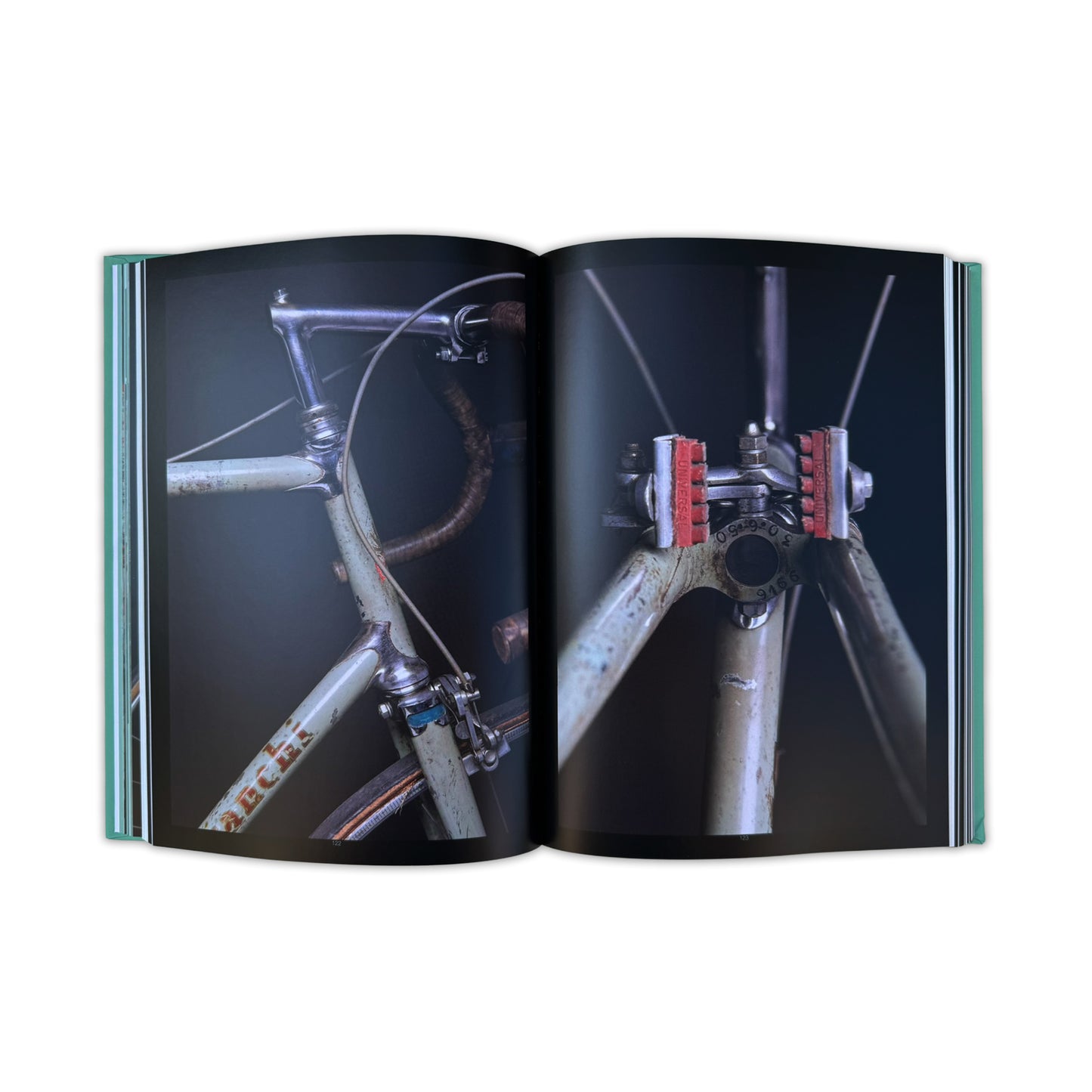 The Vintage Bianchi Book
